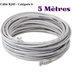Câble Réseau FTP - Blindé Et Serti- 5 m - Cat 6 - Gris